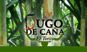 Jugodecanaeltorito.com thumbnail