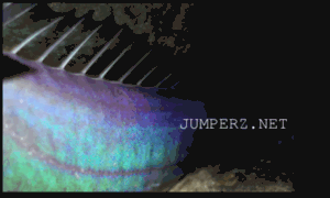 Jumperz.net thumbnail