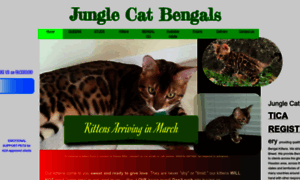 Junglecatbengals.com thumbnail