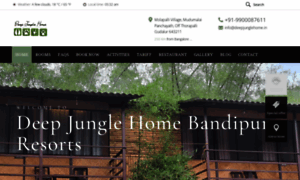 Junglehome.in thumbnail