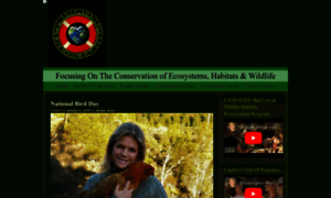 Junglejenny.org thumbnail