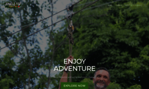 Jungletopzipline.com thumbnail