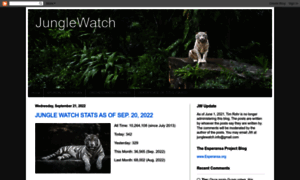 Junglewatch.info thumbnail