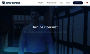 Junior-consult.dk thumbnail