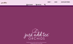 Justaddiceorchids.com thumbnail