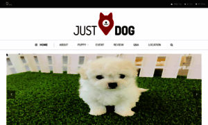 Justdog.co.kr thumbnail