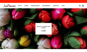 Justflowers.cl thumbnail