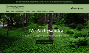 Jw-pachysandra.com thumbnail