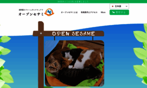 K-open-sesame.com thumbnail