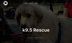 K95rescue.org thumbnail