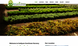 Kadiyamevergreennursery.com thumbnail