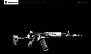 Kalashnikovgroup.ru thumbnail
