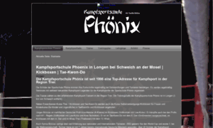 Kampfsportschule-phoenix.de thumbnail