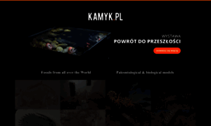 Kamyk.pl thumbnail