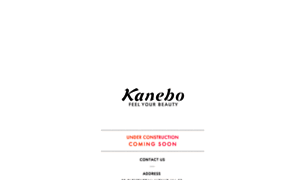 Kanebo.sg thumbnail