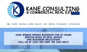 Kaneconsulting.net thumbnail