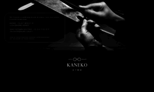 Kaneko-optical.fr thumbnail