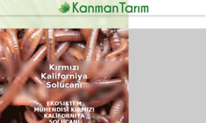 Kanmantarim.com.tr thumbnail