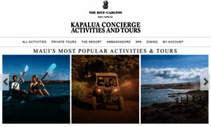 Kapaluaconcierge.com thumbnail