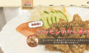 Karaage-yamituki.jp thumbnail