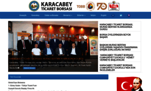 Karacabeytb.org.tr thumbnail