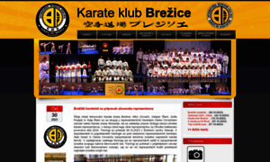 Karate-brezice.com thumbnail