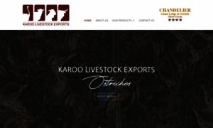 Karooexports.com thumbnail