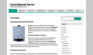 Kartal-baymak-servisi.com thumbnail
