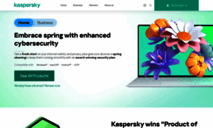 Kaspersky.com thumbnail