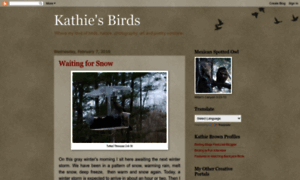 Kathiesbirds.blogspot.com thumbnail