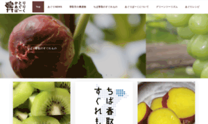 Katori-agripark.jp thumbnail