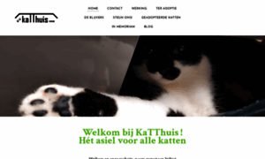 Katthuis.be thumbnail