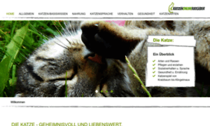 Katzen-online-ratgeber.de thumbnail