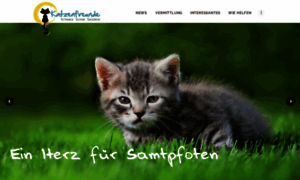 Katzenfreunde-schweiz.ch thumbnail