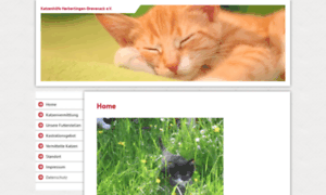 Katzenhilfeherbertingen-drevenack-ev.de thumbnail