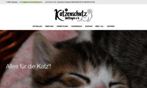 Katzenschutz-hattingen.de thumbnail