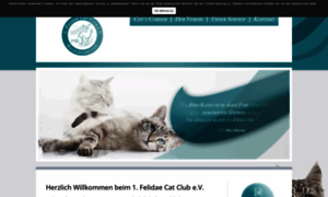 Katzenverein.info thumbnail