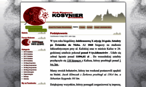 Kb-kosynier.pl thumbnail