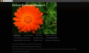 Kebunbahagiabersama.blogspot.my thumbnail