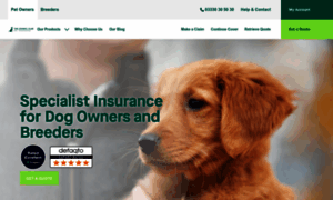 Kennelclub-petinsurance.co.uk thumbnail