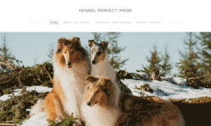 Kennelperfectimage.com thumbnail