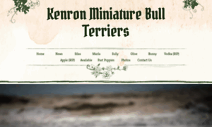 Kenronminiaturebullterrier.com thumbnail