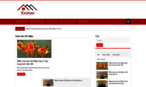 Kenton.com.vn thumbnail