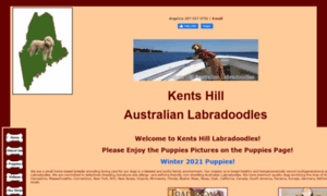 Kentshilllabradoodles.com thumbnail