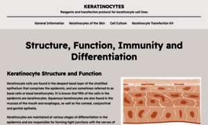 Keratinocyte-transfection.com thumbnail