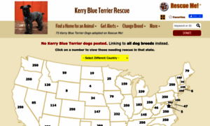 Kerryblueterrier.rescueme.org thumbnail