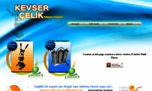 Kevsercelikmeyvepresleri.com thumbnail