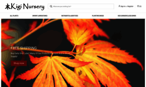 Kiginursery.com thumbnail