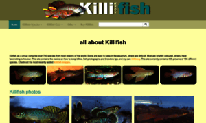 Killi.co.uk thumbnail