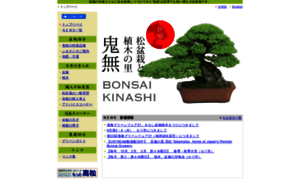 Kinashi-bonsai.com thumbnail